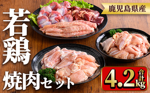 y548 鹿児島県産若鶏焼肉セット(6種・合計4.2kg) 国産 鶏肉 鳥肉 肉 若鶏 お肉 もも肉 モモ肉 砂肝 肝 手羽中 肩肉 チキン チキンリブ セット 詰め合わせ 焼き肉 焼肉 やきにく 小分け 冷凍 真空パック 食べ比べ 【TRINITY】
