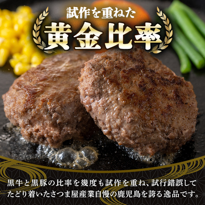 y436 鹿児島黒牛黒豚ハンバーグ(10個・計1.3kg) 国産 九州産 鹿児島県産 お肉 ぶた ブタ 豚肉 牛肉 ミンチ パック 小分け 冷凍 冷凍ハンバーグ おかず 惣菜 調理 お弁当【さつま屋産業】