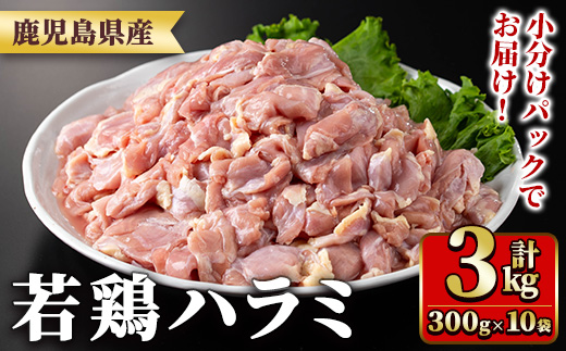 y538 鹿å
å³¶çç£è¥é¶ãã©ã(300gÃ10è¢ã»åèš3kg) åœç£ é¶è é³¥è è è¥é¶ ãè ãã©ã åžå° å°åã å·å ç空ãã㯠ãTRINITYã