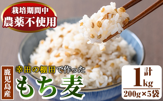 y215 棚田で作ったもち麦200g×5袋(計1kg)！日本棚田百選に選定されている「鹿児島県湧水町幸田棚田のもち麦」国産 九州産 鹿児島産 もち麦 ごはん ご飯 ダイエット 健康【福永商店】
