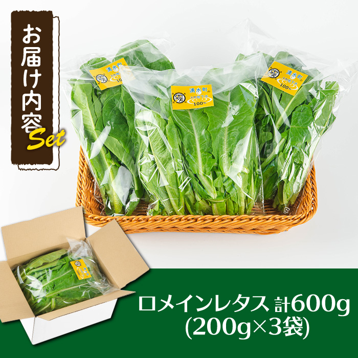 y470 《先行予約受付中！2026年9月以降順次発送》お肉が別腹になるレタス 計600g (200g×3袋) 国産 九州産 鹿児島県産 湧水町産 野菜 やさい レタス ロメインレタス 焼肉 焼き肉 バーベキュー BBQ 冷しゃぶ サラダ 水耕栽培【霧島製萌】