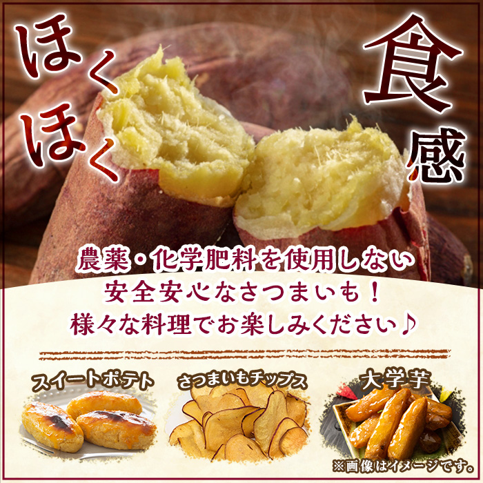 y329-B âªãããµã€ãº(1åããã50g~100g)â«æ¹§æ°Žçºç£ææ©ãã€ãŸãããçŽ
ã¯ããã(èš10kg) åœç£ ä¹å·ç£ 鹿å
å³¶ç£ ææ©æ œå¹ ãµããã€ã¢ çè è çŒãè ãããã ã¹ã«ã¯ãã ãã ãããµã€ãº 倩ã·ã ããã éè ãã〠ã¹ã€ãŒã æ¬ åžžæž© åžžæž©ä¿åããã®ããŸèŸ²åã