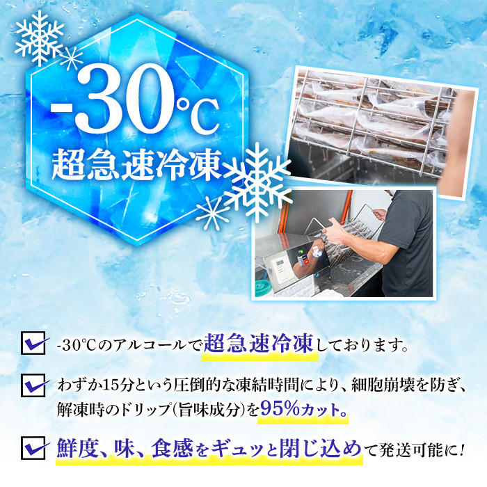 A02 ＜2026年8月発送分(8月31日迄に発送)＞[もも・むね肉] 鹿児島特産 鶏のたたき(約1kg・200g×5P) 鳥刺し 鶏刺し 肉 鳥刺 タタキ 鶏肉 親鶏 とり トリ とりにく 刺身 鶏刺身 おつまみ むね もも モモ ムネ タレ 鶏さし とりさし 鶏もも セット 冷凍【あきらの店】