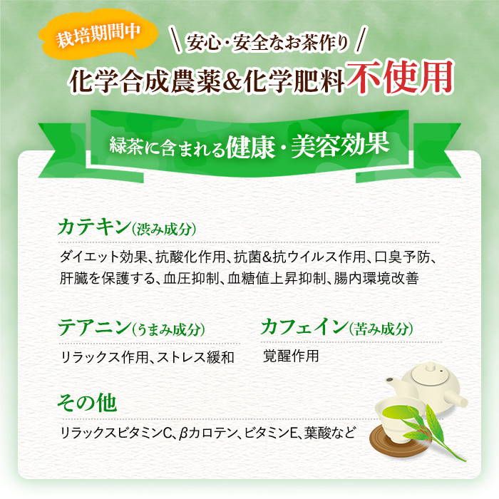 y519 鹿児島県湧水町産！栽培期間中農薬・化学肥料不使用！湧水煎茶ティーバッグ 計40個(20個×2袋) 国産 九州産 鹿児島県産 茶葉 お茶 茶 日本茶 緑茶 煎茶 ティーバッグ ギフト 贈答 プレゼント 贈り物 【神田茶園】