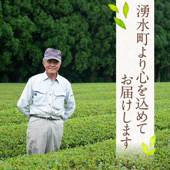 y312 《数量限定》鹿児島県湧水町産！栽培期間中農薬・化学肥料不使用！湧水煎茶(100g×5本) 国産 九州産 鹿児島県産 茶葉 お茶 茶 日本茶 緑茶 煎茶 一番茶 湧水茶 浅蒸し茶 ギフト 贈答 プレゼント 贈り物 令和7年産 【神田茶園】