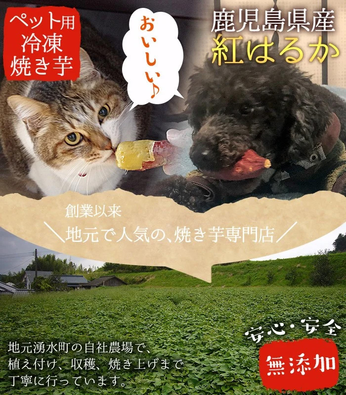 y136 æ¹§æ°Žçºç£ãã€ãŸããïŒçŽ
ã¯ããã䜿çšãããããçšå·åãããã(500gÃ3è¢ã»èš1.5kg) åœç£ ä¹å·ç£ ãµããã€ã¢ ãã€ãŸè çŽ
æ¥éŠ è çŒãè ãããã éè ã¹ã€ãŒã å·å ãããçš ãã ãšãµãæ°žéå·¥ååºã