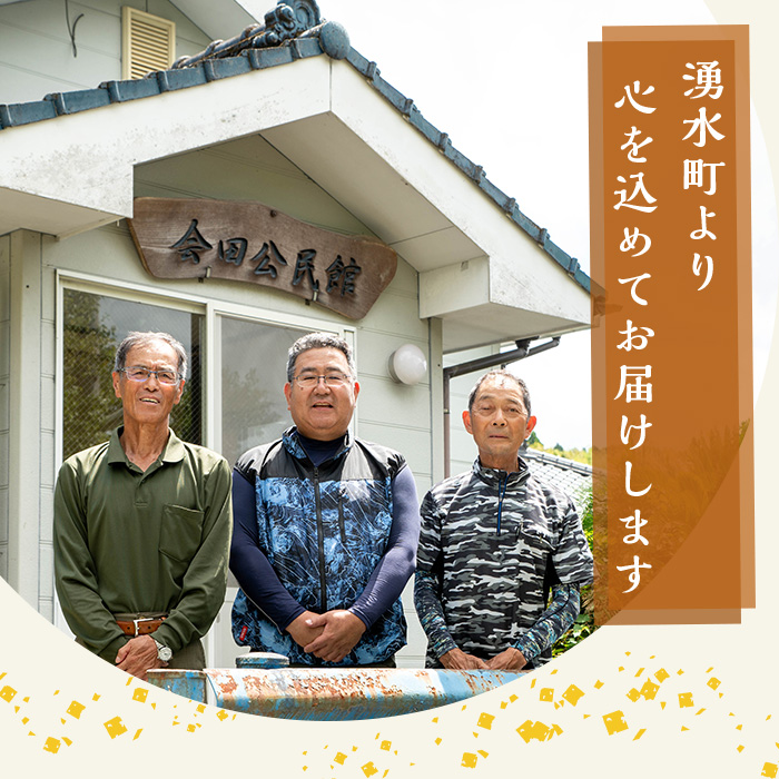y526 ≪期間/数量限定・2026年10月下旬から順次発送予定≫鹿児島県産ヒノヒカリ 湧水の田舎米(白米5kg) 国産 九州産 鹿児島県産 湧水町産 5キロ お米 おこめ 米 白米 ご飯 ごはん おにぎり ひのひかり【会田米生産グループ】
