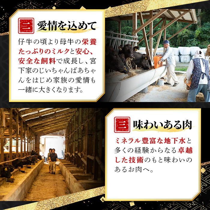 y436 鹿児島黒牛黒豚ハンバーグ(10個・計1.3kg) 国産 九州産 鹿児島県産 お肉 ぶた ブタ 豚肉 牛肉 ミンチ パック 小分け 冷凍 冷凍ハンバーグ おかず 惣菜 調理 お弁当【さつま屋産業】