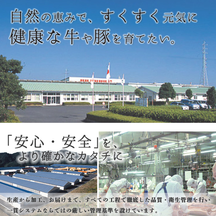 y597 ãæ°ééå®ãH-501 鹿å
å³¶é»çã«ã¿ããŒã¹ã»ãã(èš900gã»300gÃ3P) åœç£ ä¹å·ç£ çè 黿¯åç åç åœç£ç ãè ã¹ã©ã€ã¹ ããçŒã ããã¶ããã¶ å°åã å·åãæ¹§æ°ŽçºJAãããã