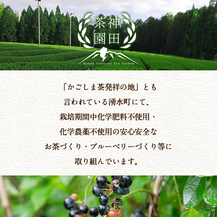 y313 《数量限定》鹿児島県湧水町産！栽培期間中農薬・化学肥料不使用！湧水上煎茶 計500g(100g×5本) 国産 九州産 鹿児島県産 茶葉 お茶 茶 日本茶 緑茶 上煎茶 一番茶 湧水茶 浅蒸し茶 ギフト 贈答 プレゼント 贈り物 令和7年産 【神田茶園】 