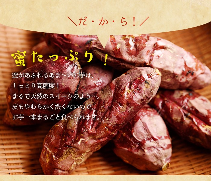 y136 æ¹§æ°Žçºç£ãã€ãŸããïŒçŽ
ã¯ããã䜿çšãããããçšå·åãããã(500gÃ3è¢ã»èš1.5kg) åœç£ ä¹å·ç£ ãµããã€ã¢ ãã€ãŸè çŽ
æ¥éŠ è çŒãè ãããã éè ã¹ã€ãŒã å·å ãããçš ãã ãšãµãæ°žéå·¥ååºã