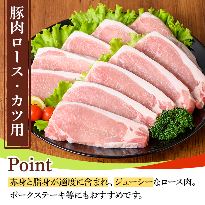 y531 鹿児島県産ロースカツ・ヒレカツセット(ロースカツ用100g×10枚・ヒレカツ用30g×10枚・合計20枚) 国産 九州産 豚肉 ぶた肉 お肉 ロース ヒレ とんかつ ポークステーキ 冷凍 【TRINITY】