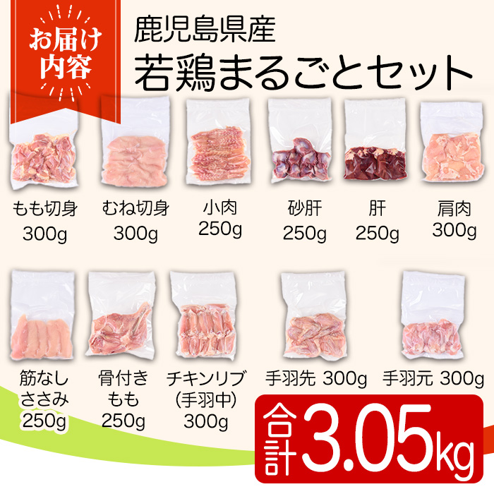 y539 鹿児島県産若鶏まるごとセット(合計3.05kg) 国産 鶏肉 鳥肉 肉 若鶏 お肉 もも肉 モモ肉 むね肉 ムネ肉 胸肉 ささみ ササミ 筋なし 砂肝 肝 手羽先 キチンリブ 手羽元 肩肉 小肉 骨付きモモ セット 詰め合わせ 小分け 冷凍 真空パック 食べ比べ 【TRINITY】