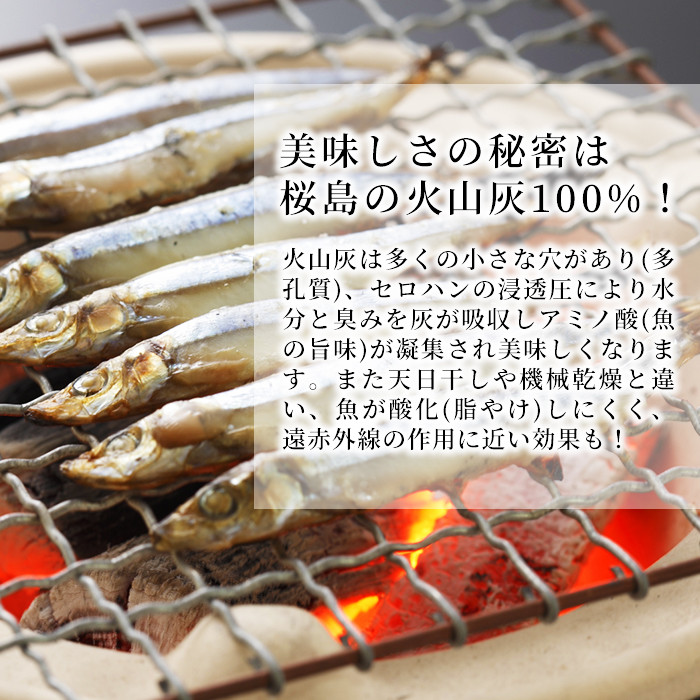 y266 ＜高級手作り干物＞桜島灰干し詰め合わせ！鹿児島県湧水町産にじますの他、季節のお魚を計8袋お届け！ 干物 魚 焼き魚 おかず 晩御飯 晩ごはん 朝食 朝ごはん 朝ご飯 和食 定食 にじます ニジマス 簡単調理 電子レンジ 保存料無添加 【福永商店】