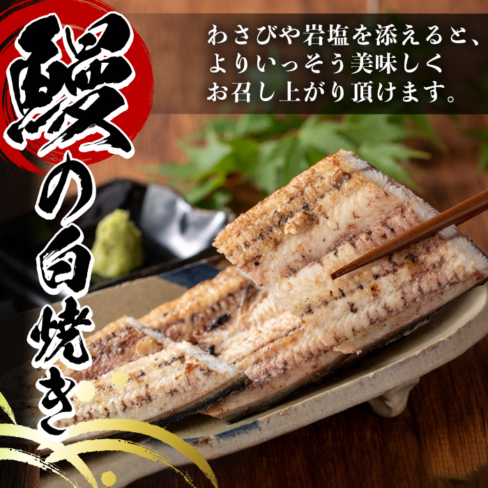 y133 蝗ス逕」シ√≧縺ェ縺手調辟シ縺1蟆セシ逋ス辟シ縺1蟆セ繧サ繝繝(險2蟆セ) 蝗ス逕」 荵晏キ樒肇 鮖ソ蜈仙ウカ逵 螳ョ蟠守恁 魏サ 繧ヲ繝翫ぐ unagi 縺縺ェ驥 縺縺ェ荳シ 縺イ縺、縺セ縺カ縺 縺縺ェ縺倥e縺 闥イ辟シ 縺九ー繧縺 逋ス辟シ 縺励i繧縺 辟。鬆ュ 鬲 鬲壻サ矩。 蝨溽畑 荳代ョ譌・ 繧ソ繝ャ 繧ソ繝ャ莉 縺翫°縺 諠」闖 蜀キ阡オ 迚ケ逕」蜩 縺雁悄逕」 繧ョ繝輔ヨ 繝励Ξ繧シ繝ウ繝 縺碑エ育ュ皮畑縲仙ーセ譁ケ螻九