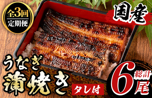 y490 《定期便・全3回》国産！うなぎ蒲焼き(2尾×3回・タレ付き) 国産 九州産 鹿児島県 宮崎県 鰻 ウナギ unagi うな重 うな丼 ひつまぶし うなじゅう 蒲焼 かばやき 無頭 魚 魚介類 土用 丑の日 タレ タレ付 おかず 惣菜 冷蔵 特産品 お土産 ギフト プレゼント ご贈答用 真空パック 湯煎 レンジ 簡単調理 定期 毎月【尾方屋】