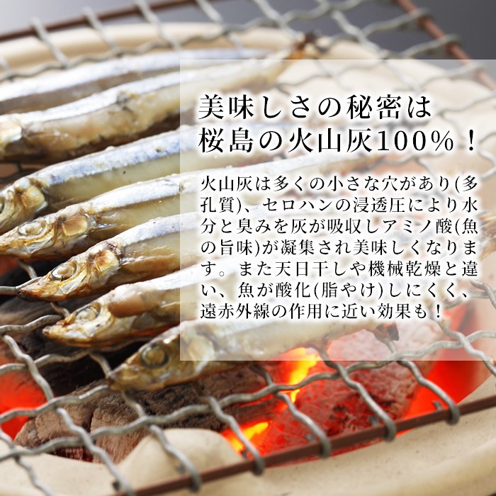 y060 ＜高級手作り干物＞桜島灰干し詰め合わせ 遠赤外線でやわらか！鹿児島県湧水町産にじますの他、季節のお魚を計10袋お届け！ 干物 魚 焼き魚 おかず 晩御飯 晩ごはん 朝食 朝ごはん 朝ご飯 和食 定食 にじます ニジマス 保存料無添加 【福永商店】