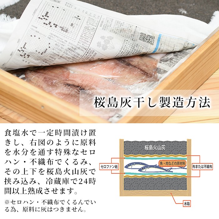 y060 ＜高級手作り干物＞桜島灰干し詰め合わせ 遠赤外線でやわらか！鹿児島県湧水町産にじますの他、季節のお魚を計10袋お届け！ 干物 魚 焼き魚 おかず 晩御飯 晩ごはん 朝食 朝ごはん 朝ご飯 和食 定食 にじます ニジマス 保存料無添加 【福永商店】