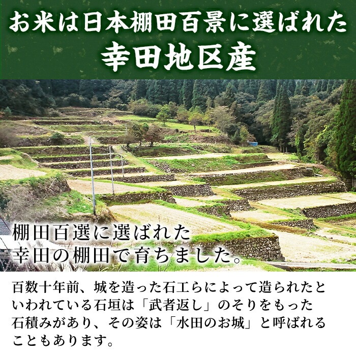 y215 棚田で作ったもち麦200g×5袋(計1kg)！日本棚田百選に選定されている「鹿児島県湧水町幸田棚田のもち麦」国産 九州産 鹿児島産 もち麦 ごはん ご飯 ダイエット 健康【福永商店】