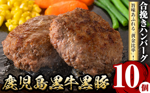 y436 鹿児島黒牛黒豚ハンバーグ(10個・計1.3kg) 国産 九州産 鹿児島県産 お肉 ぶた ブタ 豚肉 牛肉 ミンチ パック 小分け 冷凍 冷凍ハンバーグ おかず 惣菜 調理 お弁当【さつま屋産業】