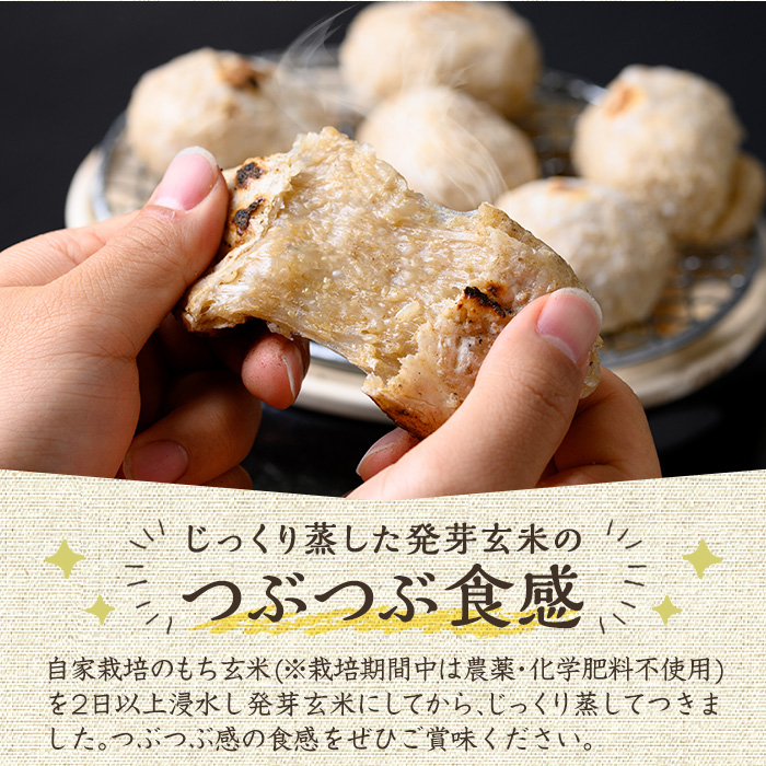 y176-R802 《先行予約受付中！2026年2月以降順次発送》《数量限定》発芽玄米餅24個(6個入×4パック) 栽培期間中農薬・化学肥料不使用の自家製もち玄米を3種のお餅に！ もち げんまい 玄米 農薬不使用 化学肥料不使用 食べ比べ オーガニック 有機 有機農業【雲月農園】