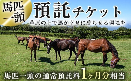 y240 預託チケット！馬匹一頭の通常預託料1ヶ月分に相当するチケット(1枚) 馬 競走馬 競馬 乗馬 乗用馬 預託【NPO法人ホーストラスト】