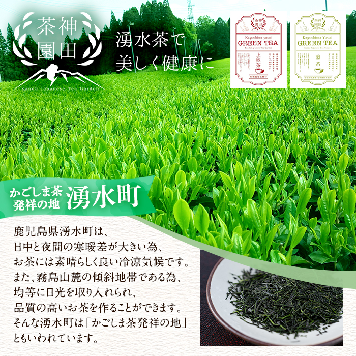 y313 《数量限定》鹿児島県湧水町産！栽培期間中農薬・化学肥料不使用！湧水上煎茶 計500g(100g×5本) 国産 九州産 鹿児島県産 茶葉 お茶 茶 日本茶 緑茶 上煎茶 一番茶 湧水茶 浅蒸し茶 ギフト 贈答 プレゼント 贈り物 令和7年産 【神田茶園】 