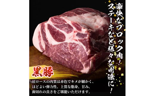 y319-v02 特選！鹿児島産黒豚肩ロースブロック(計1kg) 国産 九州産 黒豚 豚肉 ぶた肉 お肉 ステーキ ロース カタロース ブロック 焼肉 BBQ バーベキュー シチュー 冷凍【財宝】
