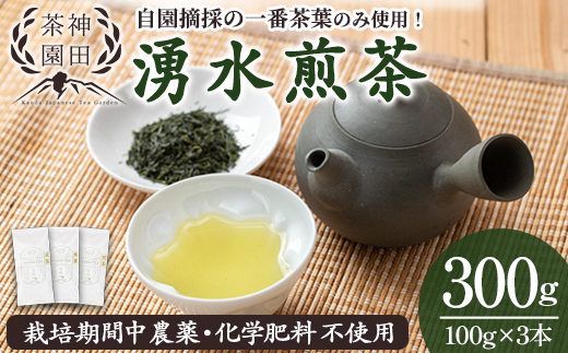 y312 《数量限定》鹿児島県湧水町産！栽培期間中農薬・化学肥料不使用！湧水煎茶(100g×3本) 国産 九州産 鹿児島県産 茶葉 お茶 茶 日本茶 緑茶 煎茶 一番茶 湧水茶 浅蒸し茶 ギフト 贈答 プレゼント 贈り物 令和8年産 【神田茶園】