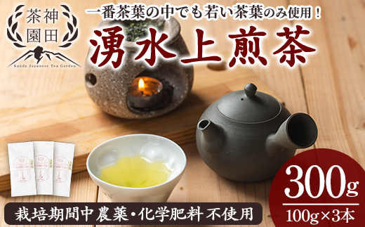 y313 《数量限定》鹿児島県湧水町産！栽培期間中農薬・化学肥料不使用！湧水上煎茶 計300g(100g×3本)  国産 九州産 鹿児島県産 茶葉 お茶 茶 日本茶 緑茶 上煎茶 一番茶 湧水茶 浅蒸し茶 ギフト 贈答 プレゼント 贈り物 令和8年産 【神田茶園】