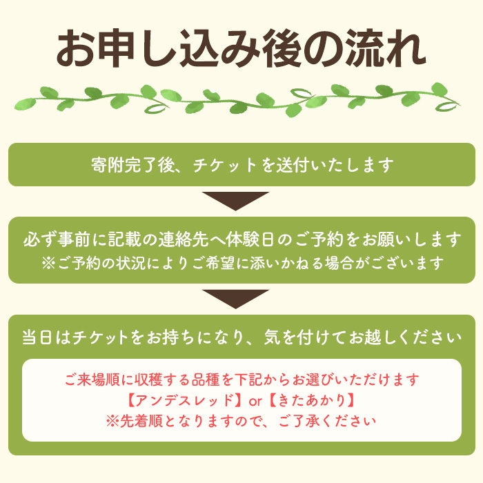 y593 湧水町じゃがいも収穫体験チケット(1列分) 収穫 収穫体験 体験 チケット ジャガイモ 芋 招待券 レジャー 観光 旅行 お土産 おみやげ 持ち帰り 自然 農業体験【中津川ファーム】