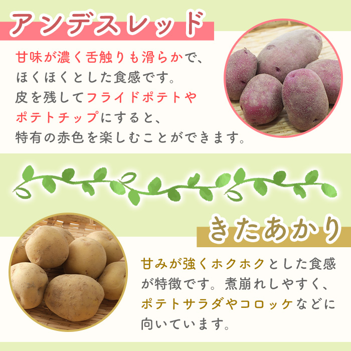 y593 湧水町じゃがいも収穫体験チケット(1列分) 収穫 収穫体験 体験 チケット ジャガイモ 芋 招待券 レジャー 観光 旅行 お土産 おみやげ 持ち帰り 自然 農業体験【中津川ファーム】