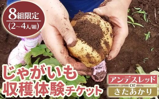 y593 湧水町じゃがいも収穫体験チケット(1列分) 収穫 収穫体験 体験 チケット ジャガイモ 芋 招待券 レジャー 観光 旅行 お土産 おみやげ 持ち帰り 自然 農業体験【中津川ファーム】