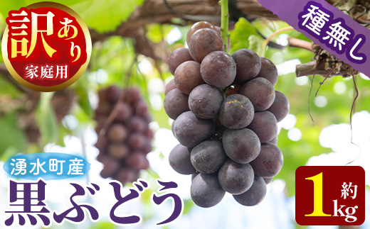 y601 ≪先行予約受付中！2026年8月中旬以降順次発送≫  訳あり！黒ぶどう(約1kg) 国産 九州産 鹿児島産 湧水町 巨峰 ピオーネ クインニーナ BKシードレス 葡萄 ぶどう ブドウ 果物 くだもの フルーツ 旬 訳アリ ワケあり 家庭用 種無し 種なし 【大倉野 隆】