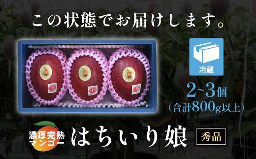 ãæ°ééå®/å
è¡äºçŽããã³ãŽãŒãã¯ã¡ããïŒé¢å
¥ãïŒåšãåç²§ç®±å
¥ã