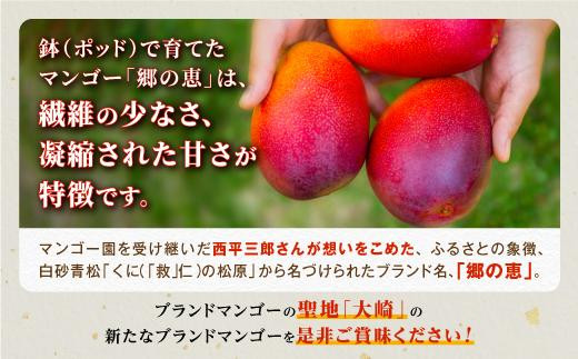 大崎完熟マンゴー「郷の恵（さとのめぐみ）」（特A）