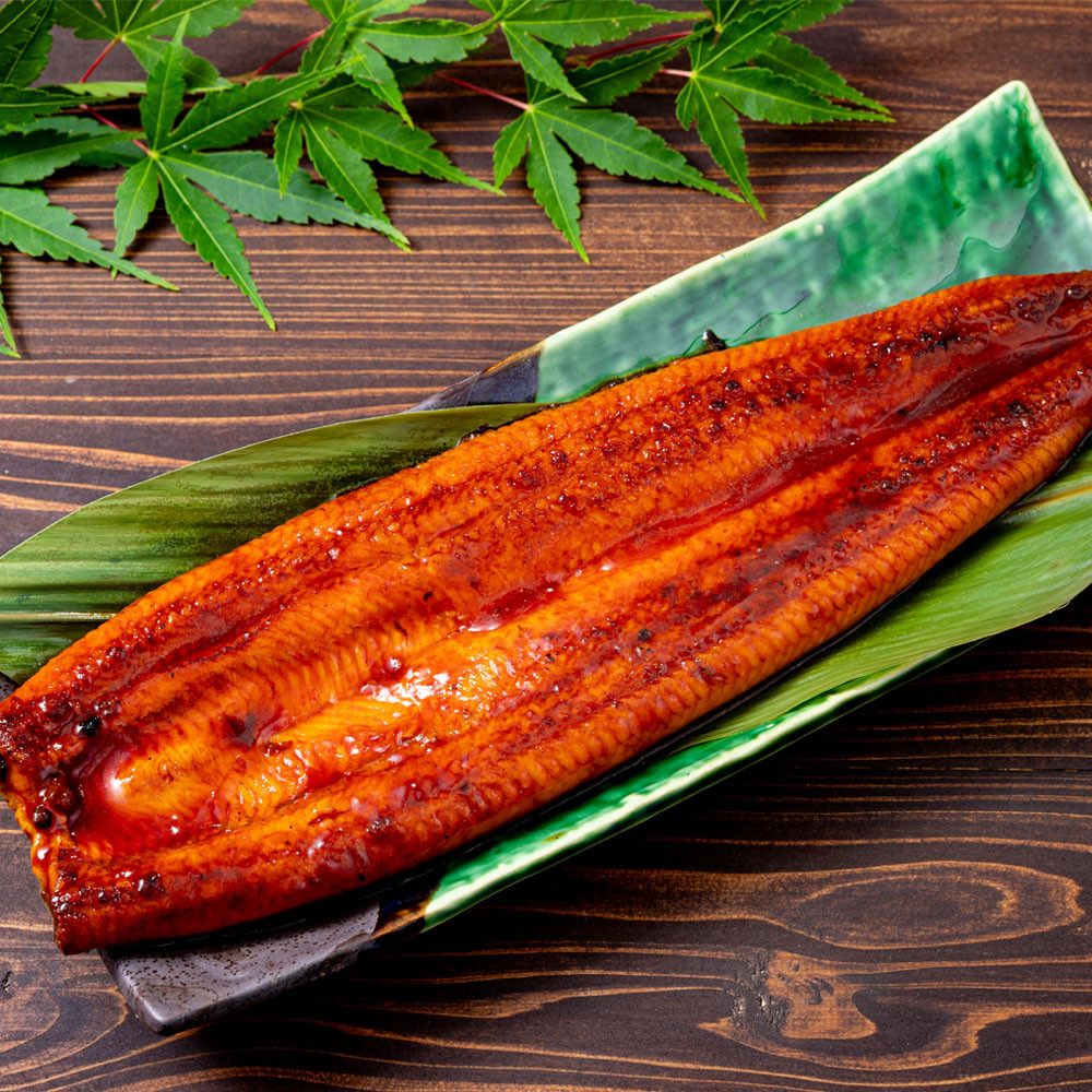 【6回定期】うなぎ 蒲焼 170g×2尾【鹿児島産】地下水で育てた絶品鰻