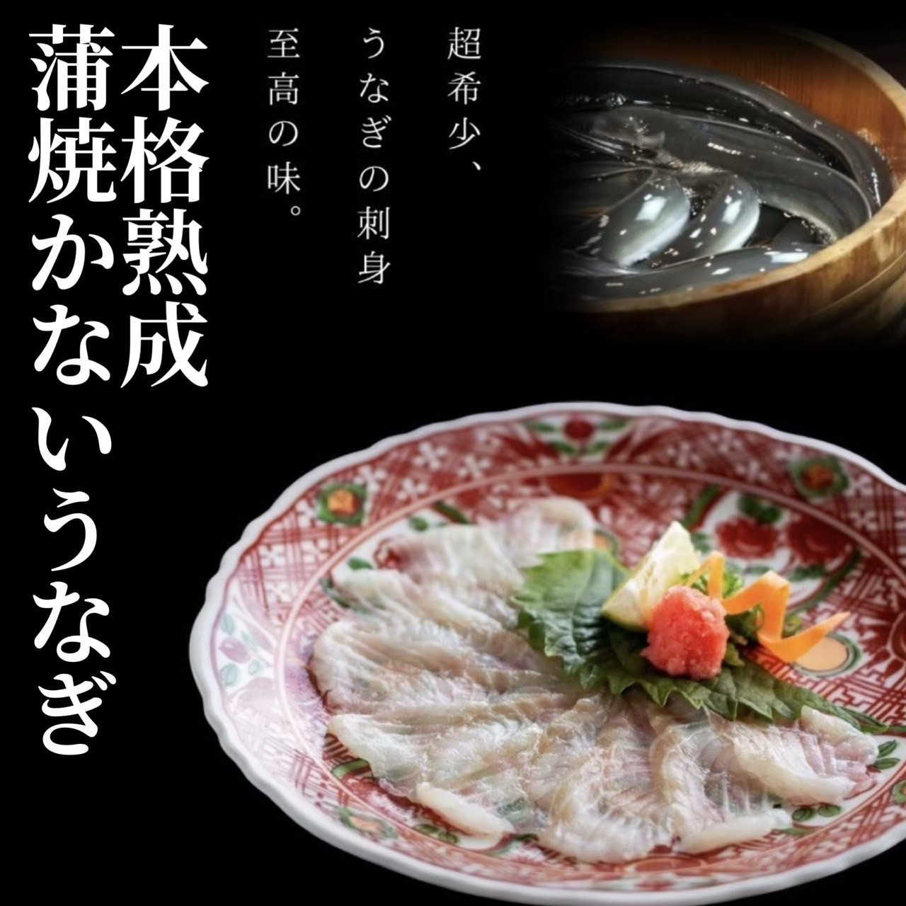 蒲焼かないうなぎ【龍鰻おつまみバラエティーセット】