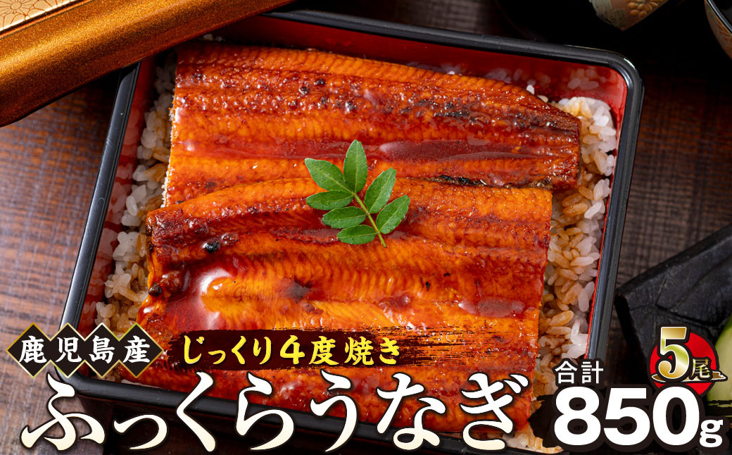 うなぎ 蒲焼 170g×5尾【鹿児島産】地下水で育てた絶品鰻