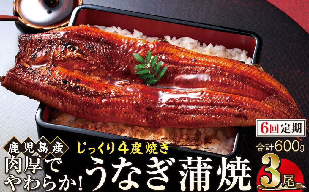 【6回定期】うなぎ 蒲焼 200g×3尾【鹿児島産】地下水で育てた絶品鰻