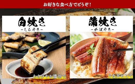 鹿児島県大隅産　千歳鰻の白焼1尾・蒲焼き1尾　合計2尾セット