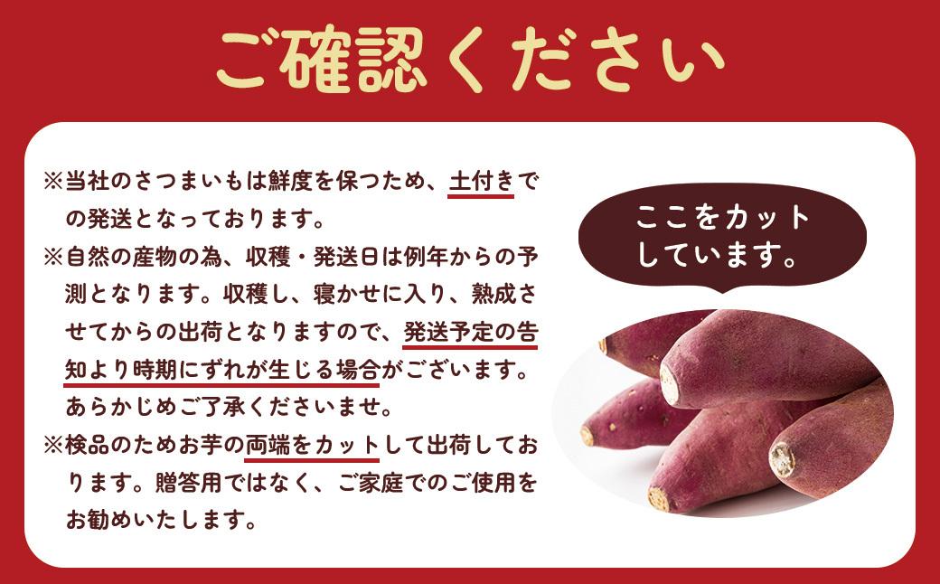 【先行予約】訳アリ！紅蜜芋　紅はるか　2kg