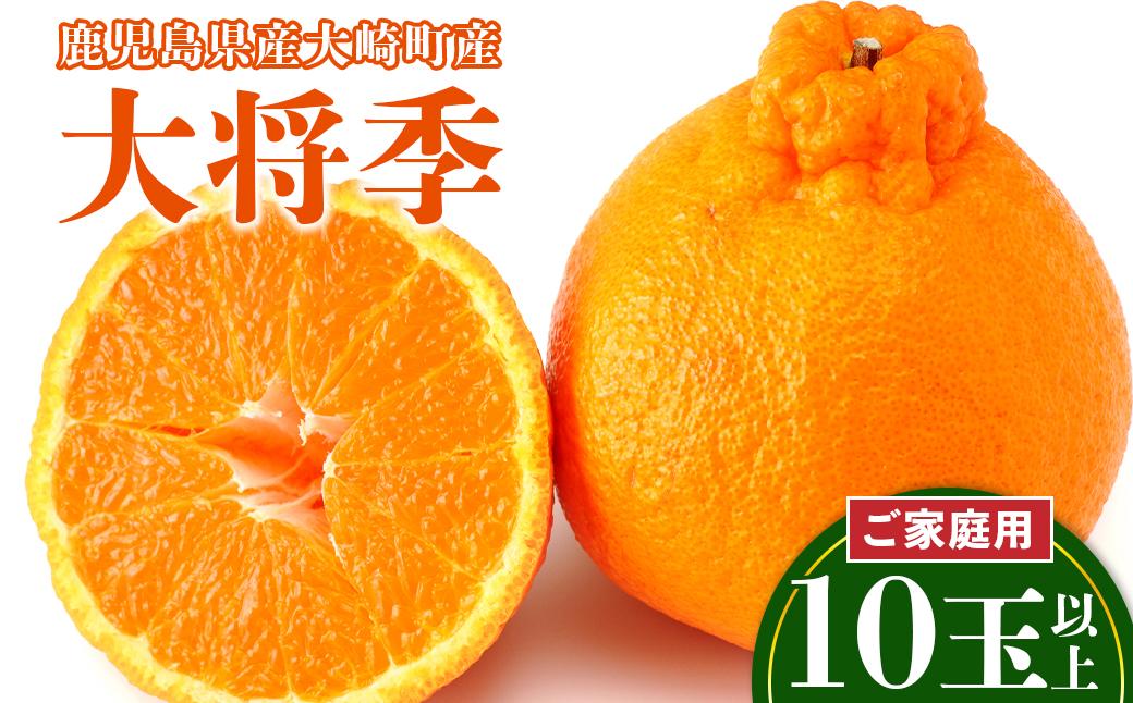 老舗青果店のご家庭用 大将季 10玉以上