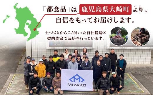 【1週間以内発送】鹿児島県産 紅はるか使用 焼き干し芋120g×10袋 | 菓子 和菓子 食品 干し芋 野菜 サツマイモ 焼き芋 鹿児島県産 紅はるか 乾物 人気 秋 おやつ スイーツ ヘルシー ナチュラル ギフト 健康 朝食 間食 保存食 無添加 栄養豊富 さつまいもスナック 伝統菓子 鹿児島県 大崎町 F609