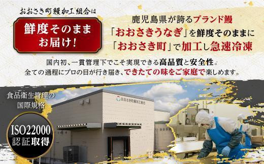 数量限定【2026年土用丑の日までにお届け】鹿児島県産うなぎ長蒲焼2尾
