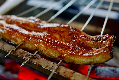 暪山æ¡äžããã®SçŽé°»ã倧10å°ŸïŒ1.5KïœïŒ