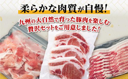 ä¹å·ç£è±è3.1kgã3çš®ã»ãããïŒè±ãã©ã¹ã©ã€ã¹400gÃ3Pãè±ããŒã¹ãšããã€350gïŒ3æïŒÃ2Pãè±ã¢ã¢ãŠãåãèœãšã300gÃ4PïŒ