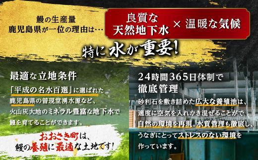 【定期便】おおさきうなぎ鹿児島県産うなぎ長蒲焼2尾（全3回）合計6尾