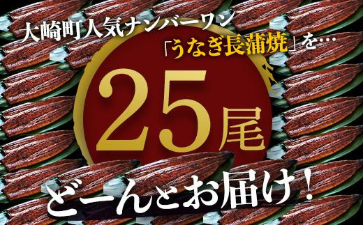 どーんとお届け！特大25尾　鹿児島県産長蒲焼