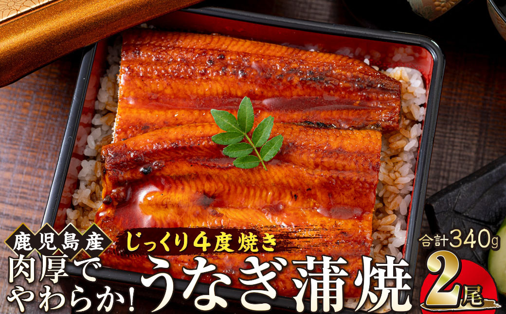 うなぎ 蒲焼 170g×2尾【鹿児島産】地下水で育てた絶品鰻
